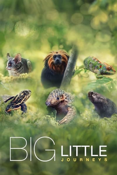Big Little Journeys - Saison 1