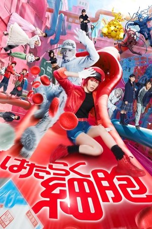 Cells at work !
