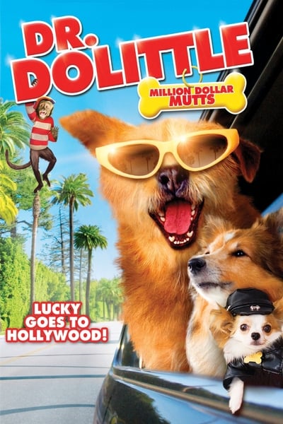 Docteur Dolittle 5