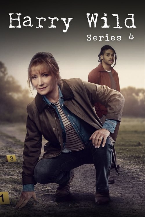 Harry Wild - Saison 4