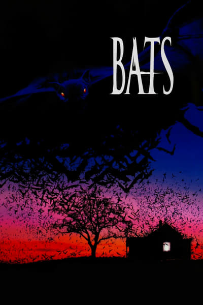 La nuit des chauves-souris