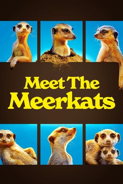 Le Gang des Suricates - Saison 1
