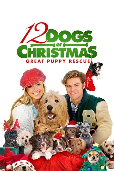 Les 12 chiens de noël 2