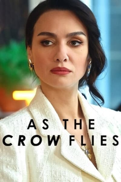 Les Ailes de l’Ambition - Saison 3