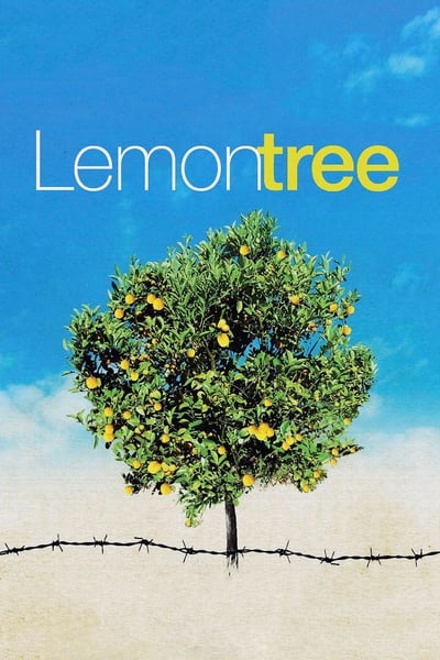 Les citronniers