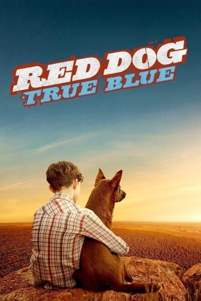 Blue, mon chien d'Australie