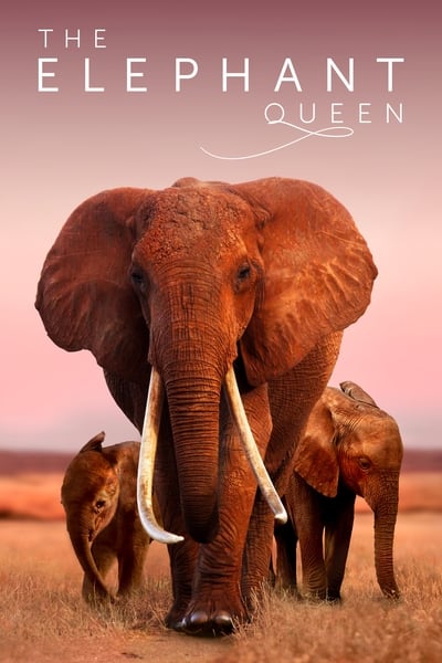 The Elephant Mother