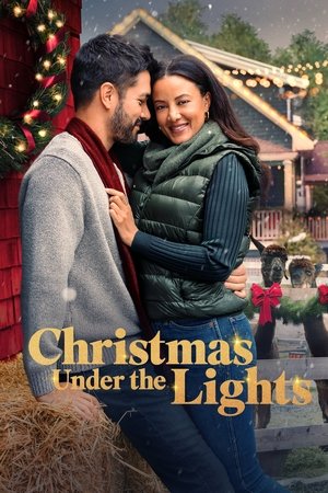 Un Noël plein de lumières